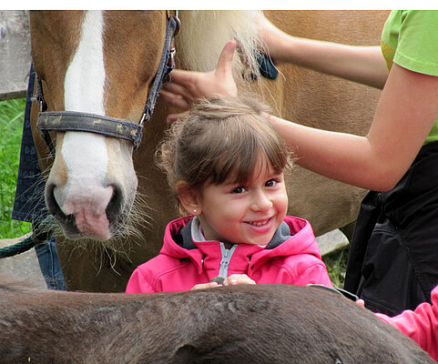 Mädchen striegelt nach dem Reiten ihr Pony.