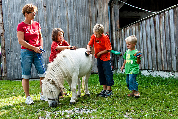 Nach dem Reiten striegeln Kinder unter Anleitung das Pony.