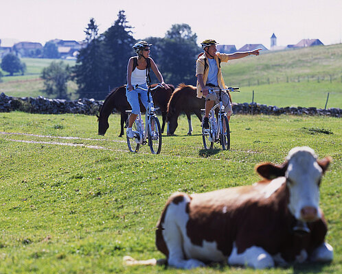 Zwei Radler mit eBikes auf einer Radtour