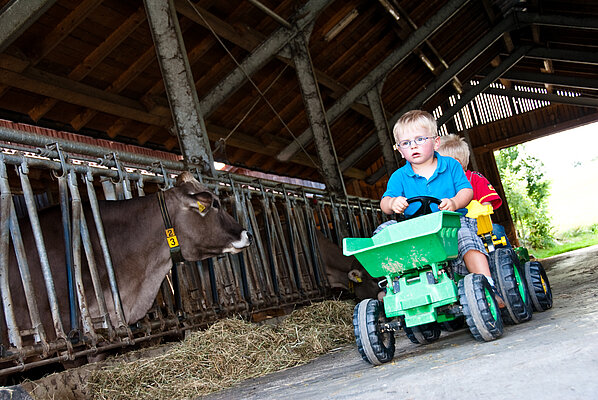 Kinder spielen mit Tretbulldogs im Kuhstall.