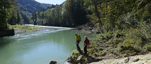 Kalkterrassen am Kalkofensteg in der Ammerschlucht