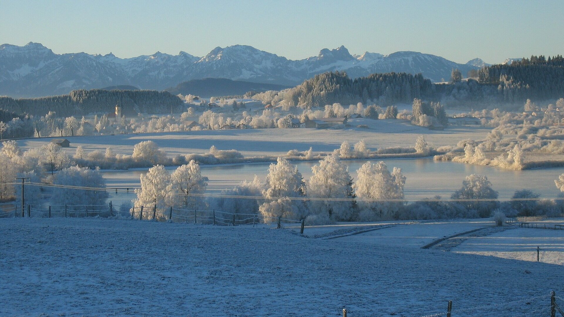 Flankiert von mit Rauhreif überzogenen Bäumen schmiegt sich der Haslacher See in die Landschaft bei Bernbeuren.