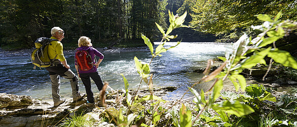 Wandern in der Ammerschlucht