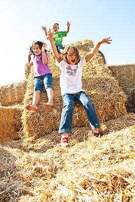 Kinder rutschen große Strohballen herunter.