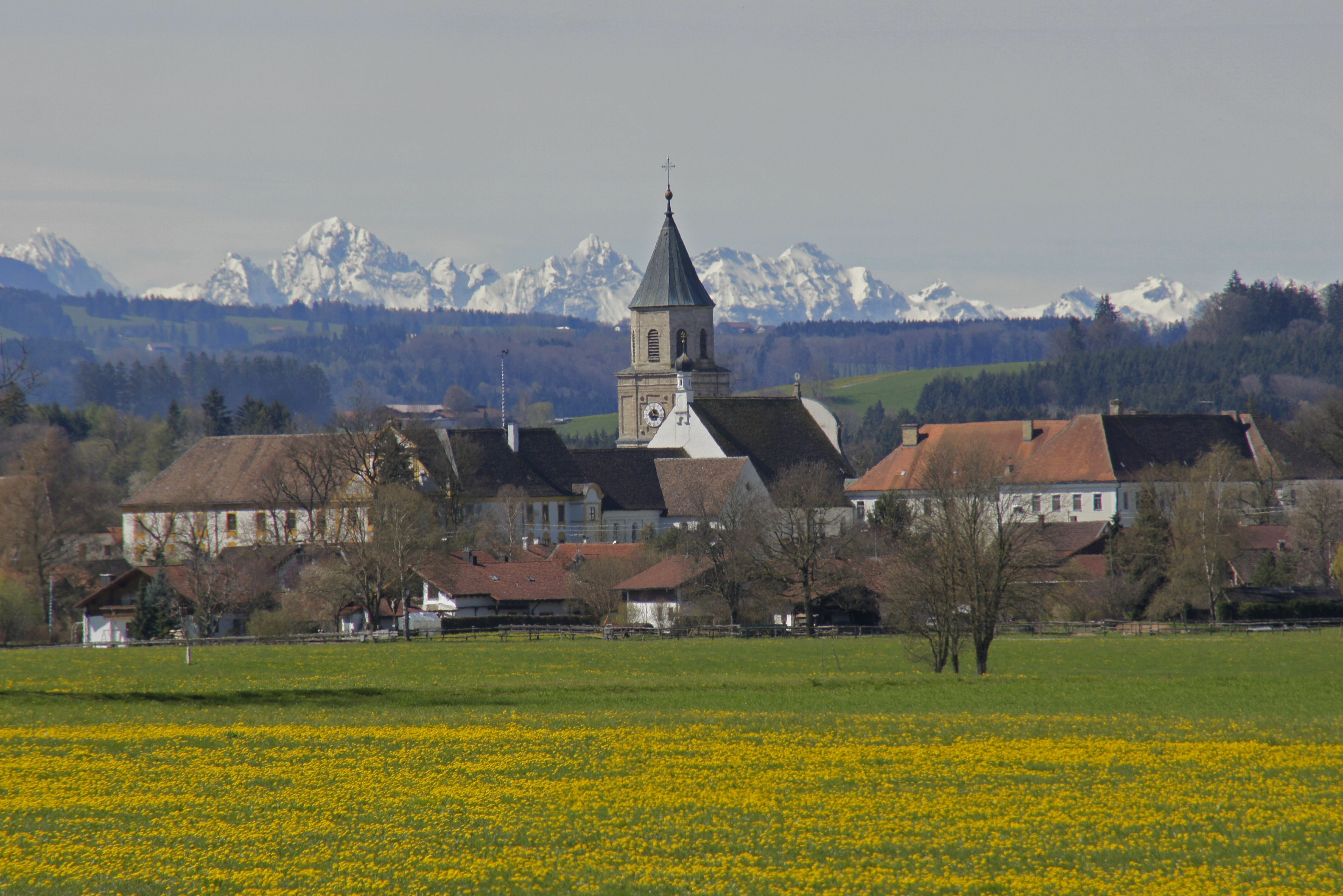 Blick auf Polling