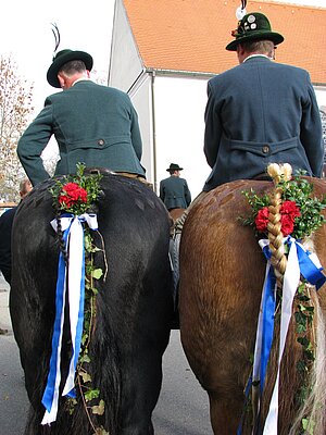 Leonhardiritt in Schongau